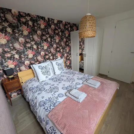 Rose - Entier Confort Et Moderne Hyper Centre D'ernee *